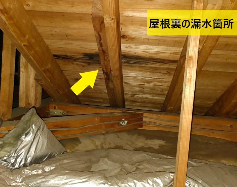 屋根裏の漏水箇所を特定　野地板や垂木が変色している